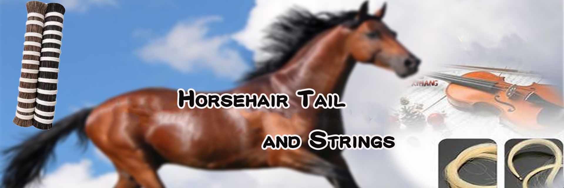 kwaliteit Paardenhaarmeelverlengingen fabriek